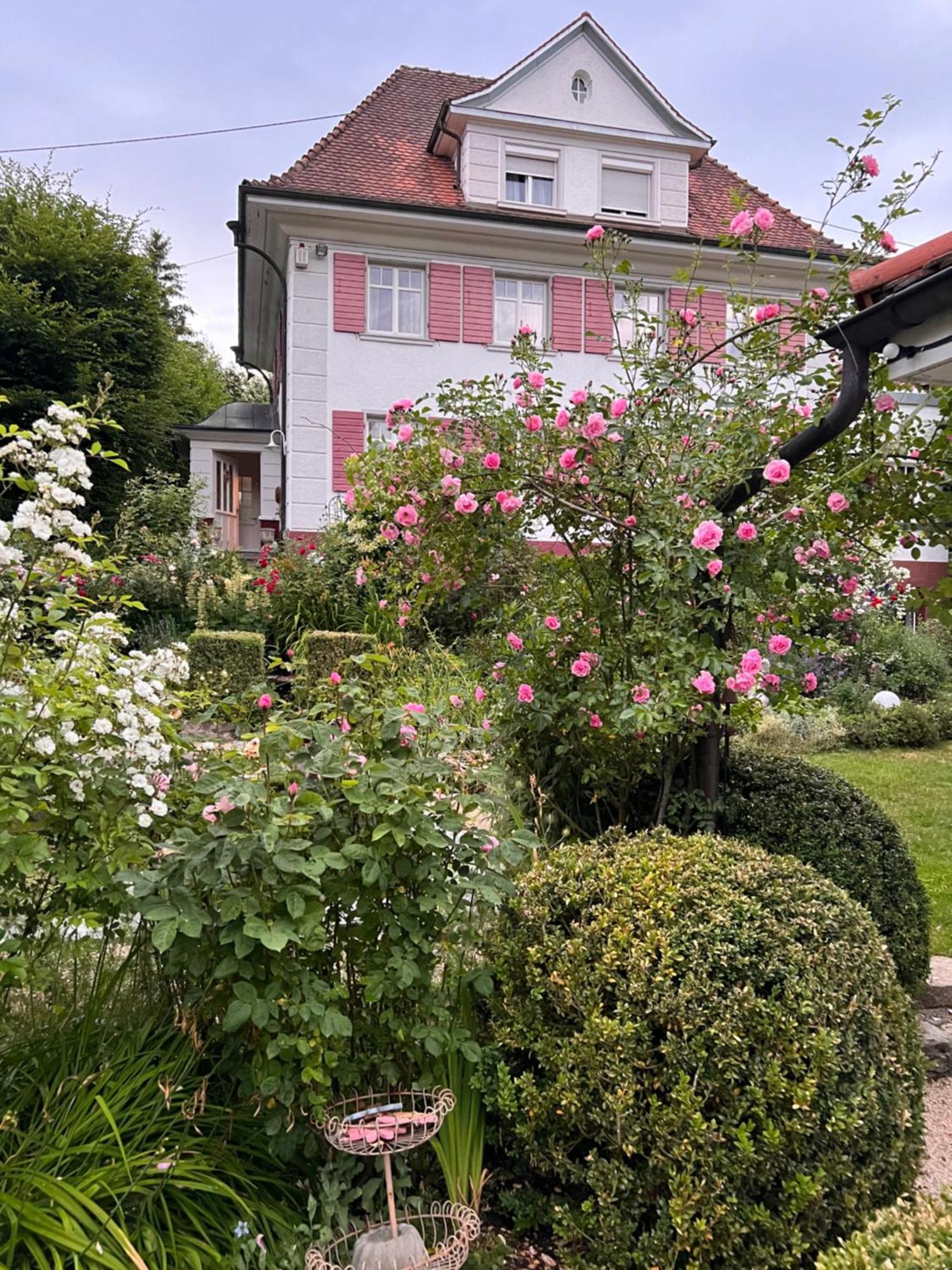 B&B Rosenliebe Niedereschach Екстер'єр фото