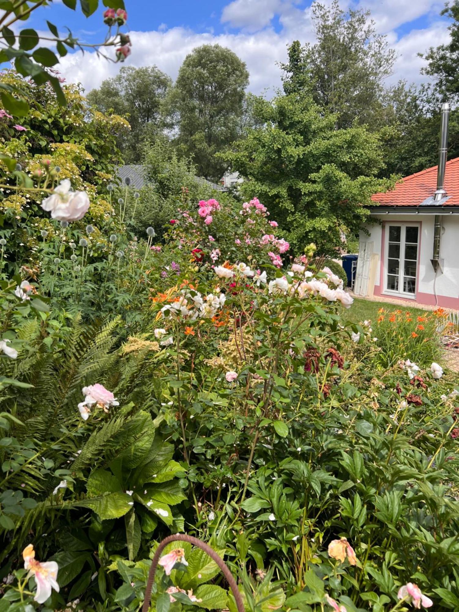 B&B Rosenliebe Niedereschach Екстер'єр фото